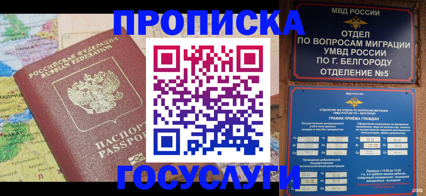 прописка регистрация в Петропавловске-Камчатском