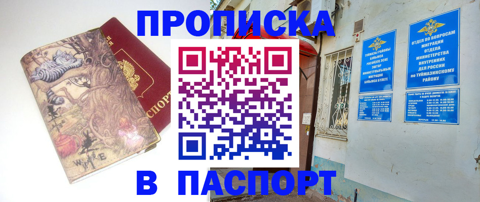 пропишу в квартире в Петропавловске-Камчатском